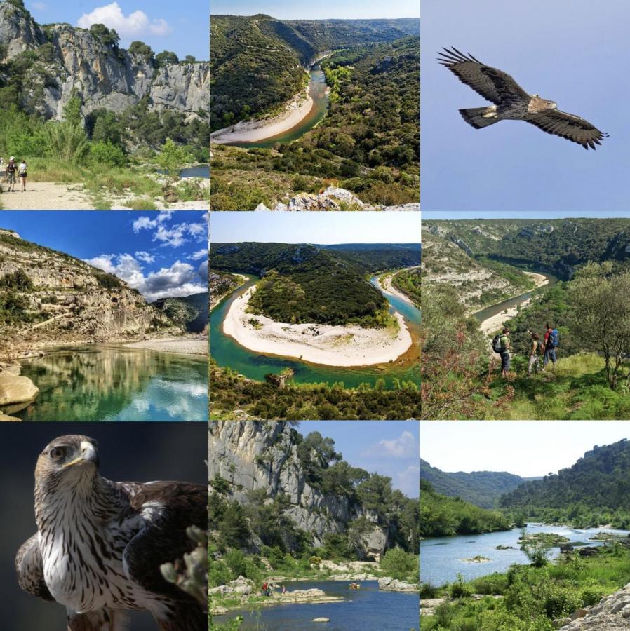 Le Cherche Midi, Entre Nimes, Le Pont Du Gard, Uzes, Arles Marguerittes Zewnętrze zdjęcie